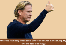 Marcus Hamberg Flashback