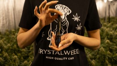 CBD-Öl – was es wirklich ist und warum es nicht dasselbe ist wie Hanfsamenöl 9 CBD-Öl